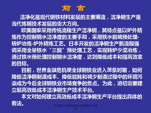 如何建立高效低成本洁净钢平台课件