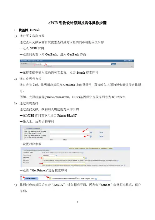 qPCR引物设计原则及具体操作步骤