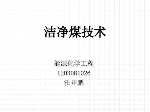 洁净煤技术