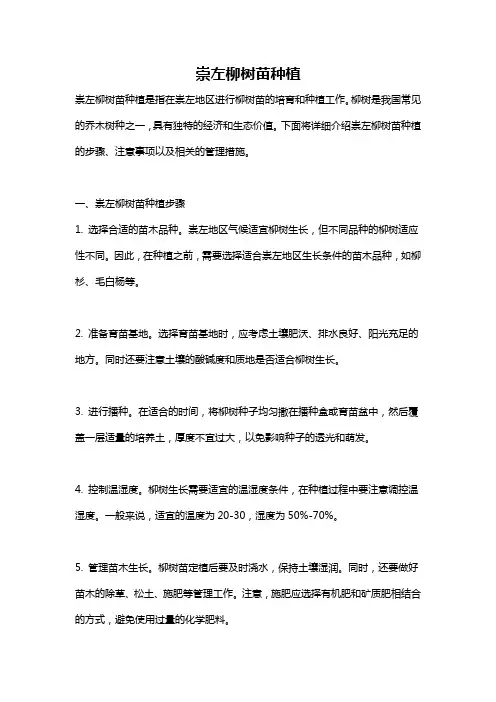 崇左柳树苗种植