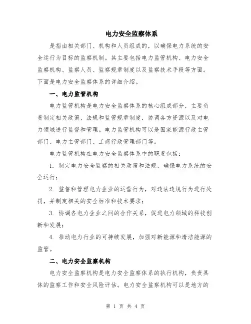 电力安全监察体系