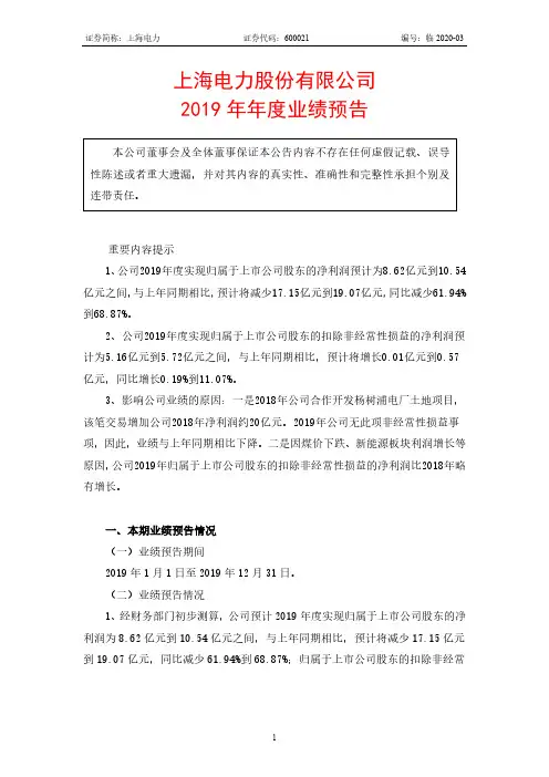 上海电力：2019年年度业绩预告