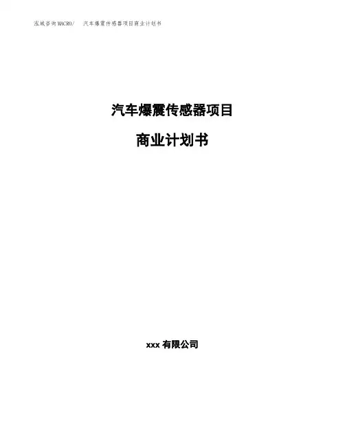 汽车爆震传感器项目商业计划书