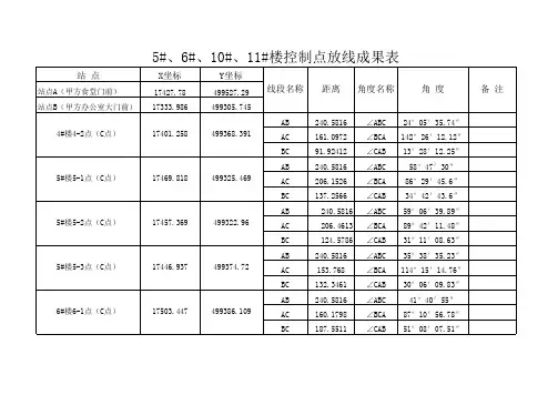 放线成果Microsoft Excel 工作表
