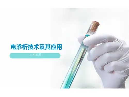 电渗析技术及其应用