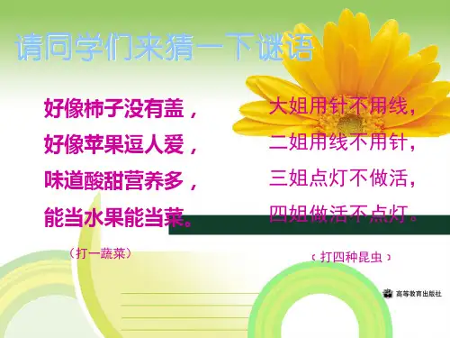 儿童文学的概述