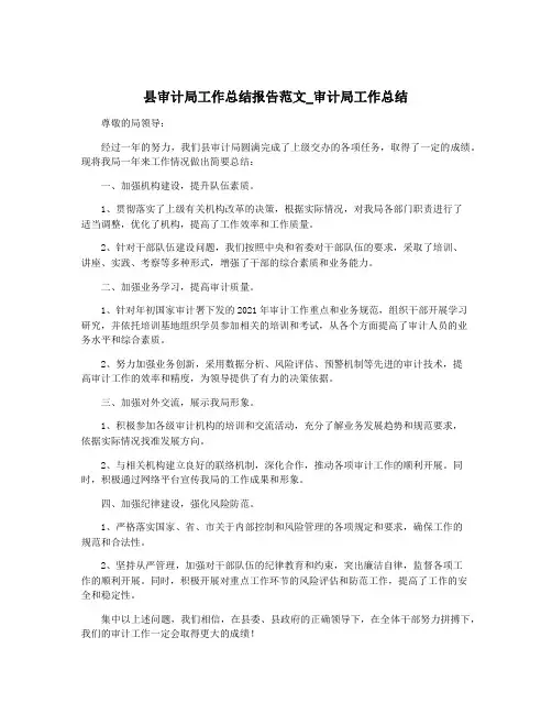 县审计局工作总结报告范文_审计局工作总结