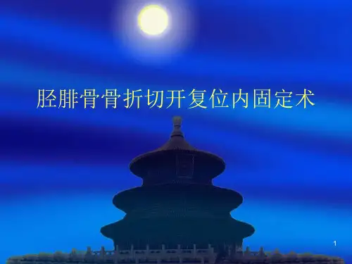 胫腓骨骨折切开复位内固定术ppt课件