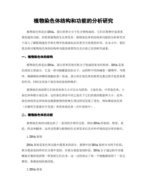 植物染色体结构和功能的分析研究