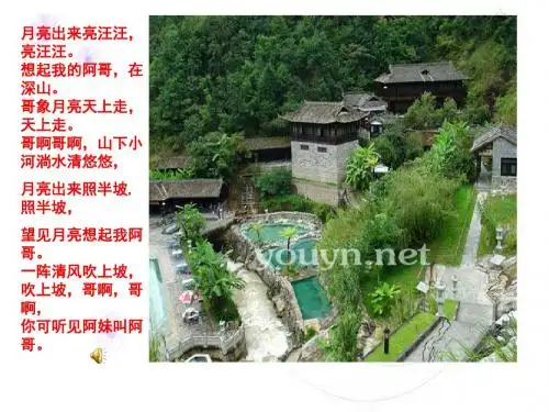 《云南的歌会》