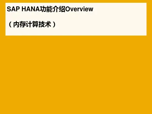 SAP HANA功能介绍Overview