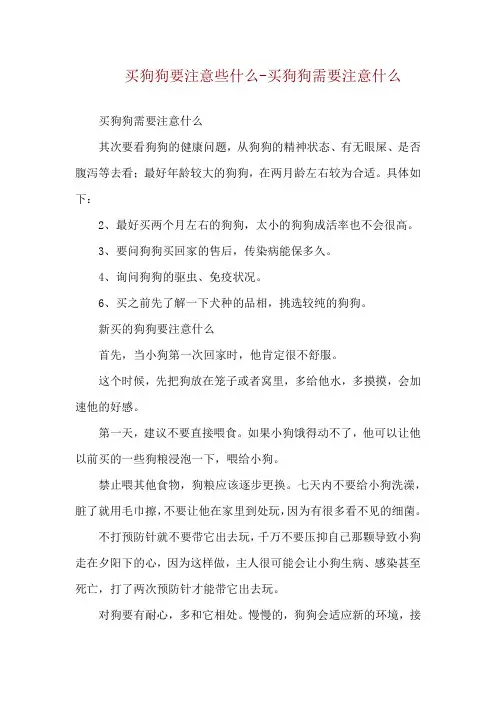 买狗狗要注意些什么-买狗狗需要注意什么