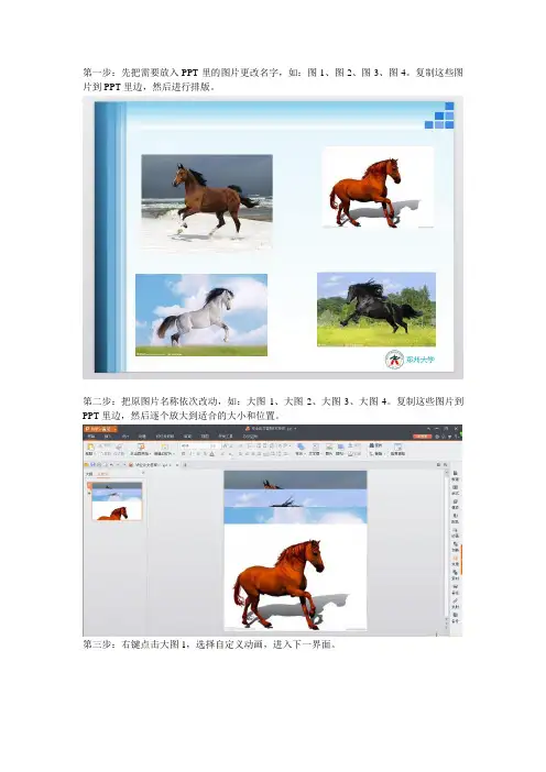 PPT里多张图片点那张那张变大操作流程