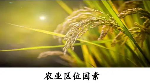 农业区位因素(课件)高一地理(中图版2019必修第二册)