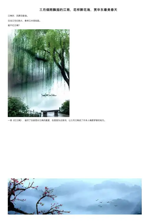 三月烟雨飘摇的江南，花样醉花海，赏华东最美春天