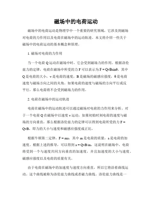 磁场中的电荷运动