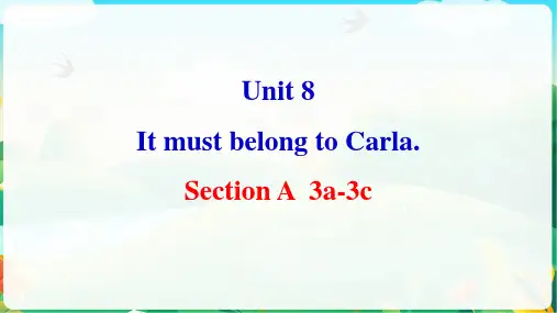 Unit8SectionA3a-3c课件人教版九年级英语全一册