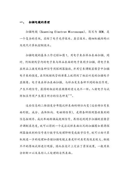 扫描电镜的原理及其在材料科学领域的应用