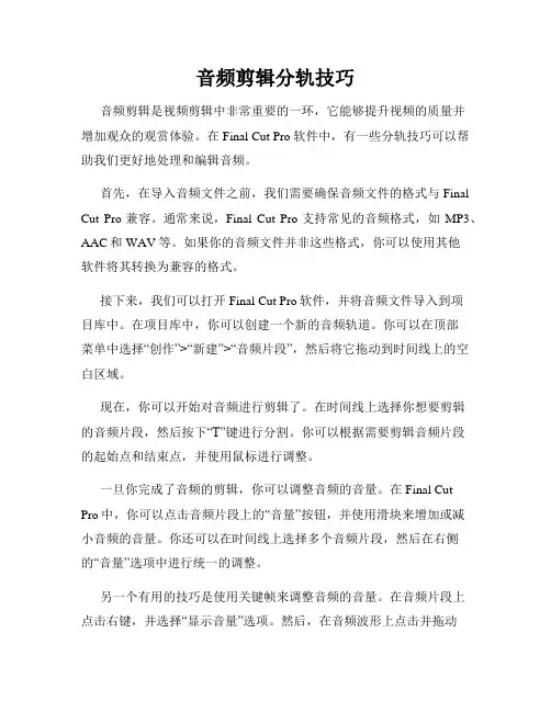 音频剪辑分轨技巧