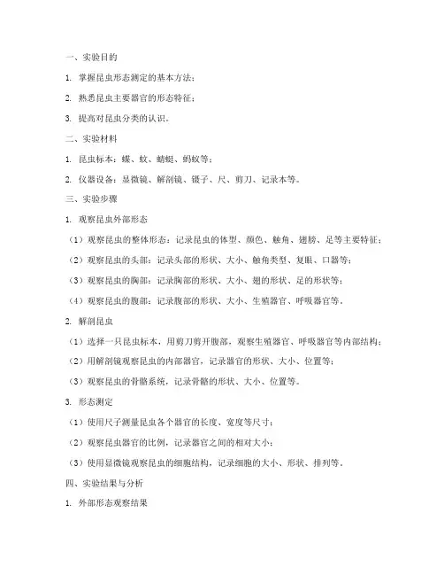 昆虫形态测定实验报告