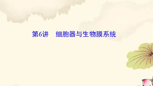 高考生物一轮复习10：细胞器与生物膜系统优质课件
