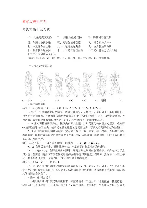 杨式太极拳十三刀