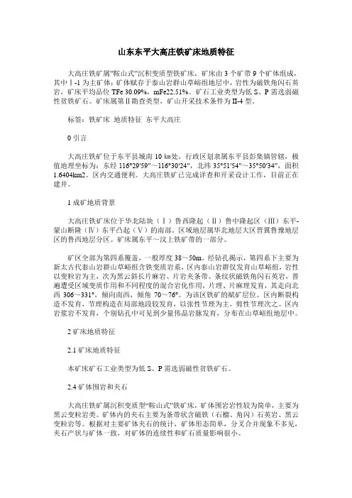 山东东平大高庄铁矿床地质特征