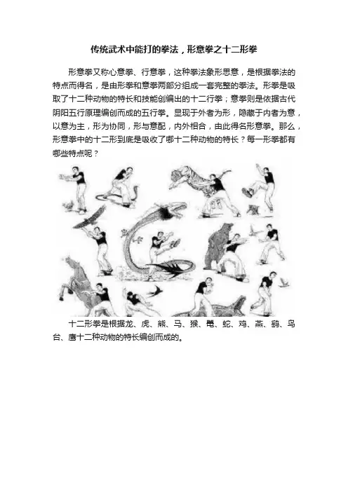 传统武术中能打的拳法，形意拳之十二形拳
