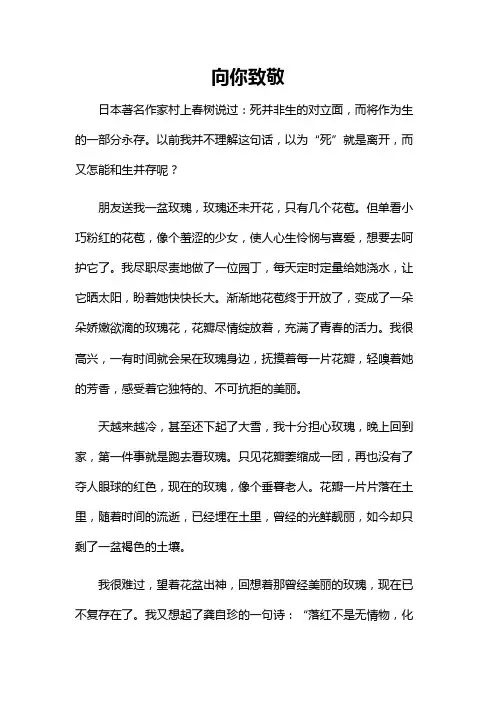 向你致敬的作文800字左右