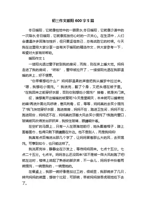 初三作文暖阳600字5篇