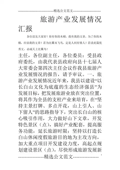 旅游产业发展情况汇报