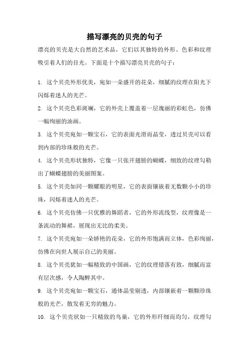 描写漂亮的贝壳的句子