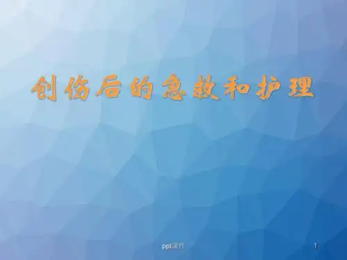 创伤后病人的急救  ppt课件