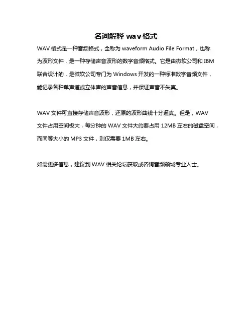名词解释wav格式