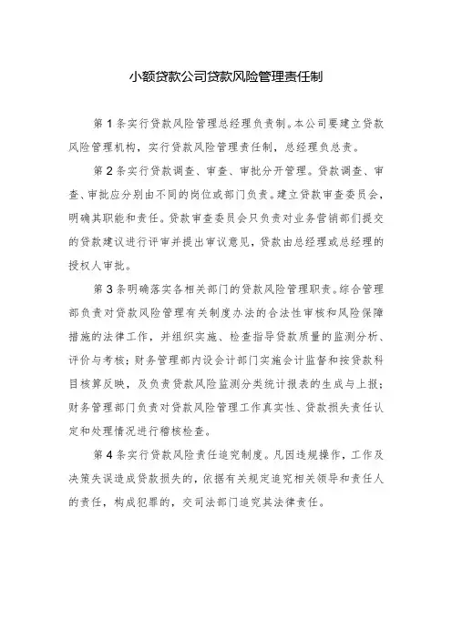 小额贷款公司贷款风险管理责任制