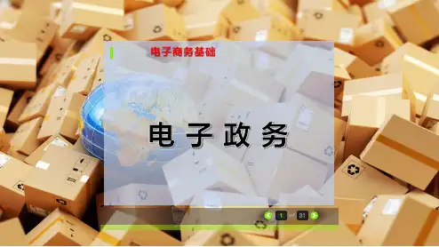 电 子 政 务