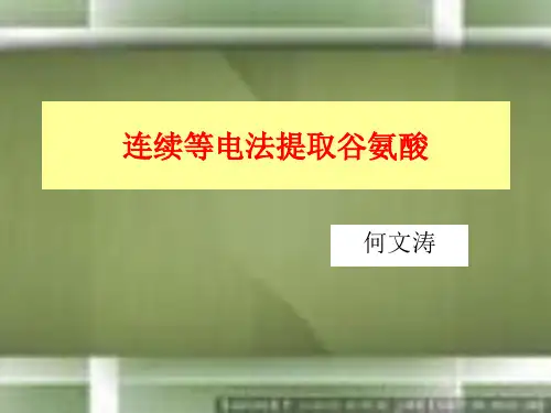 连续等电法提取谷氨酸