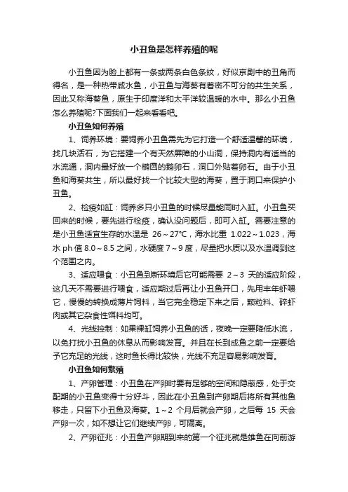 小丑鱼是怎样养殖的呢