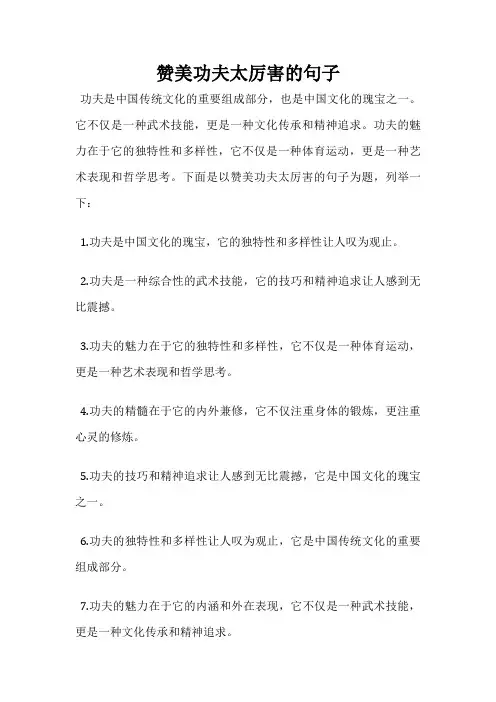 赞美功夫太厉害的句子