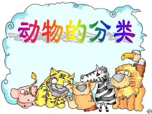 动物的分类 PPT
