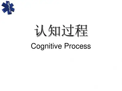 认知过程