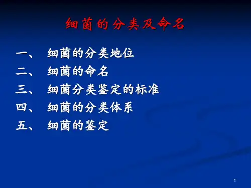 细菌的分类及命名ppt课件