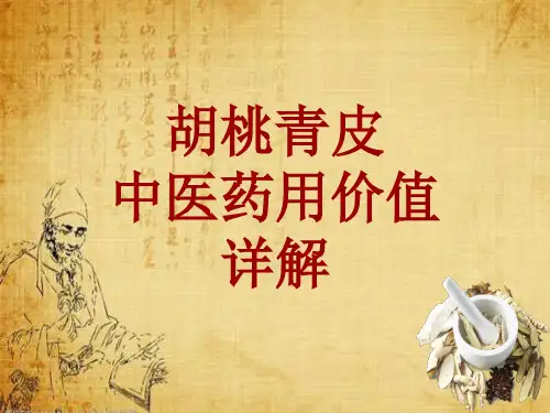 中药学_胡桃青皮_药材详解课件模板_性味