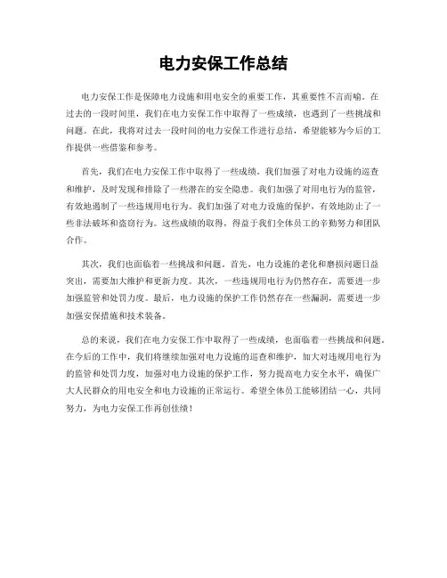 电力安保工作总结