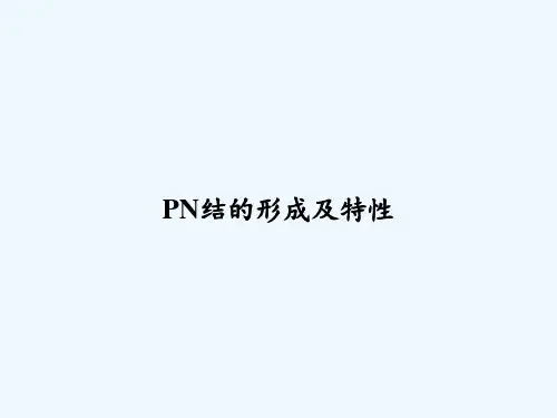 PN结的形成及特性 PPT