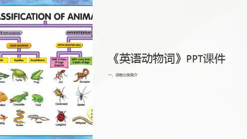 《英语动物词》课件