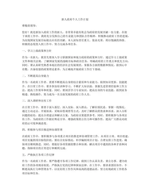 新人政府个人工作计划