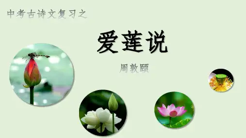 《爱莲说》复习课PPT