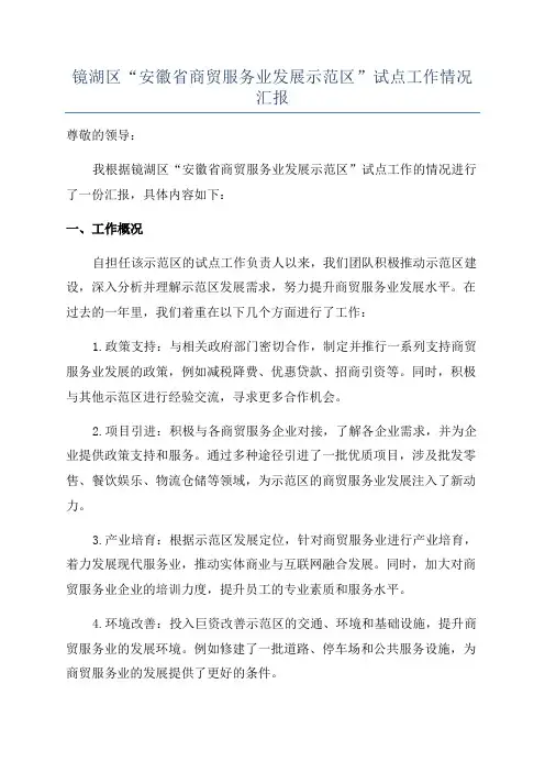 镜湖区“安徽省商贸服务业发展示范区”试点工作情况汇报