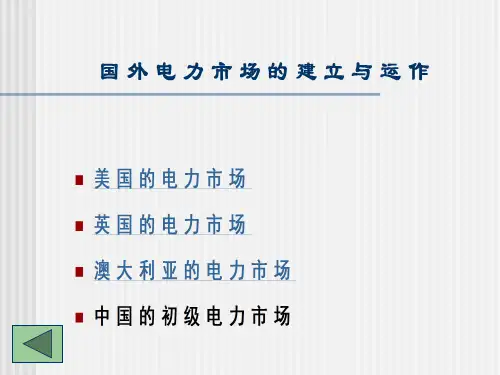 电力市场讲义(国外电力市场)PPT课件